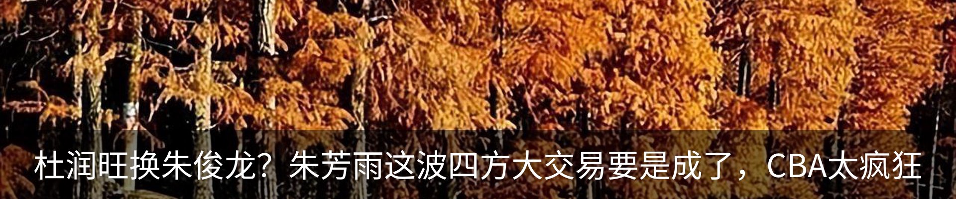 行业资讯